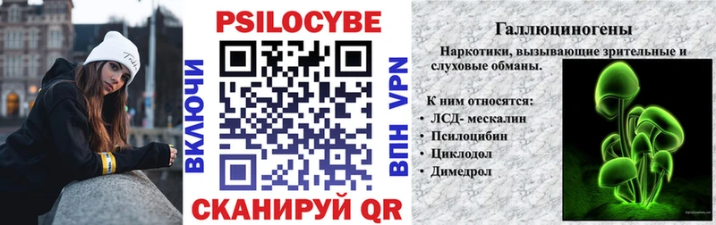 продажа наркотиков  Городец  Псилоцибиновые грибы прущие грибы 