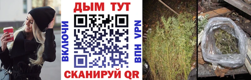 Бошки Шишки планчик Городец